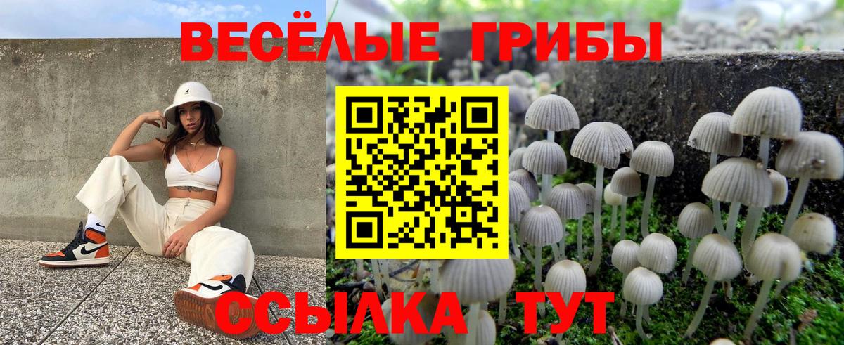 Псилоцибиновые грибы мицелий Мурино