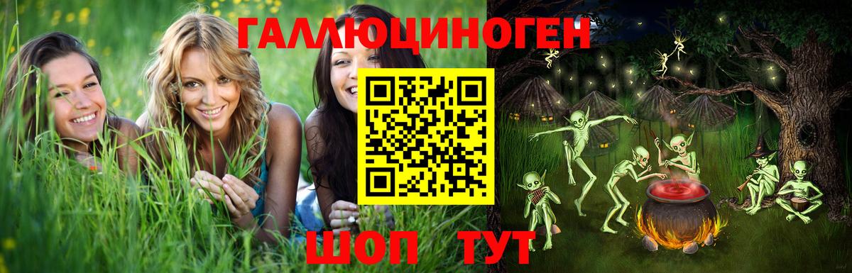 Мурино  хочу   Вход с VPN  Псилоцибиновые грибы Psilocybine cubensis 